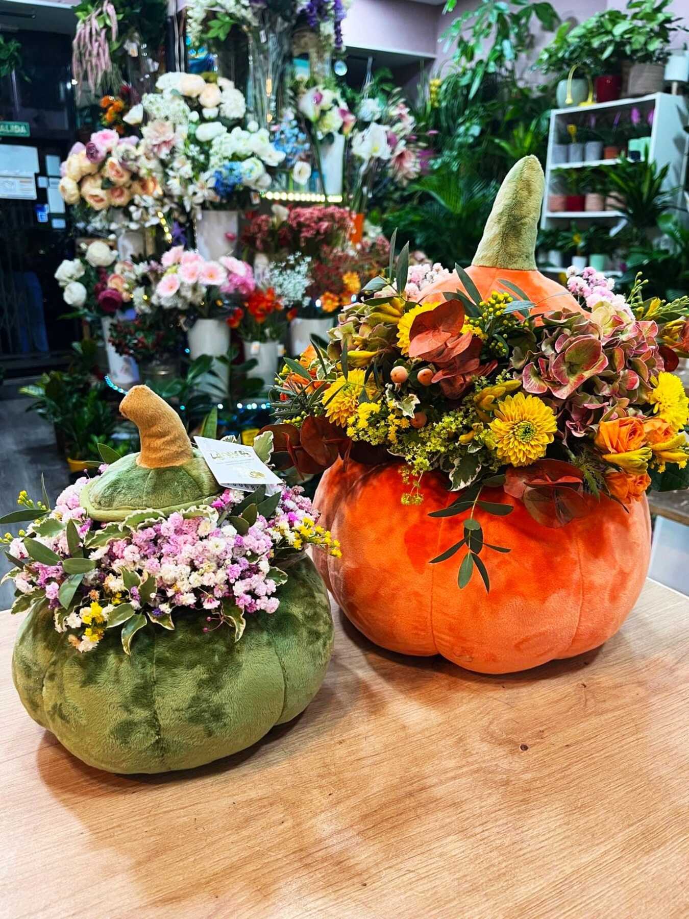 Imagen galeria Calabaza 1