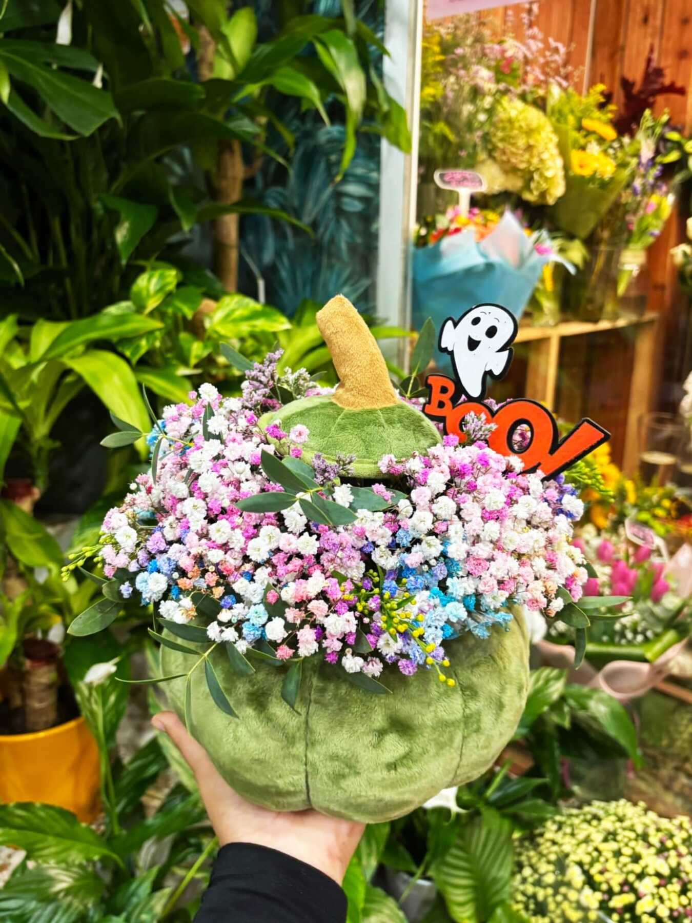 Imagen galeria Calabaza 2