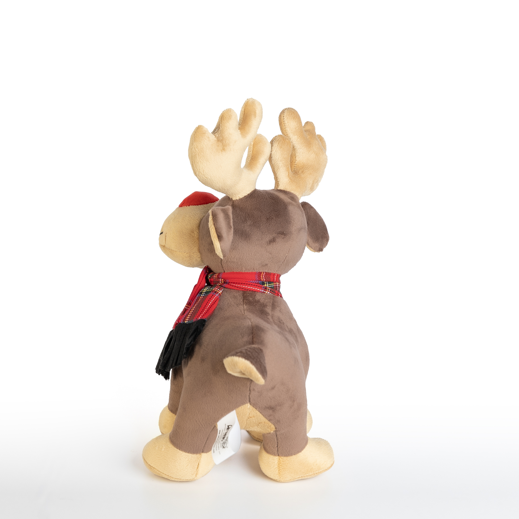 RENO_T2 DE PIE EN 4 PATAS TRASERA (IMAGEN PARA GALERIA)