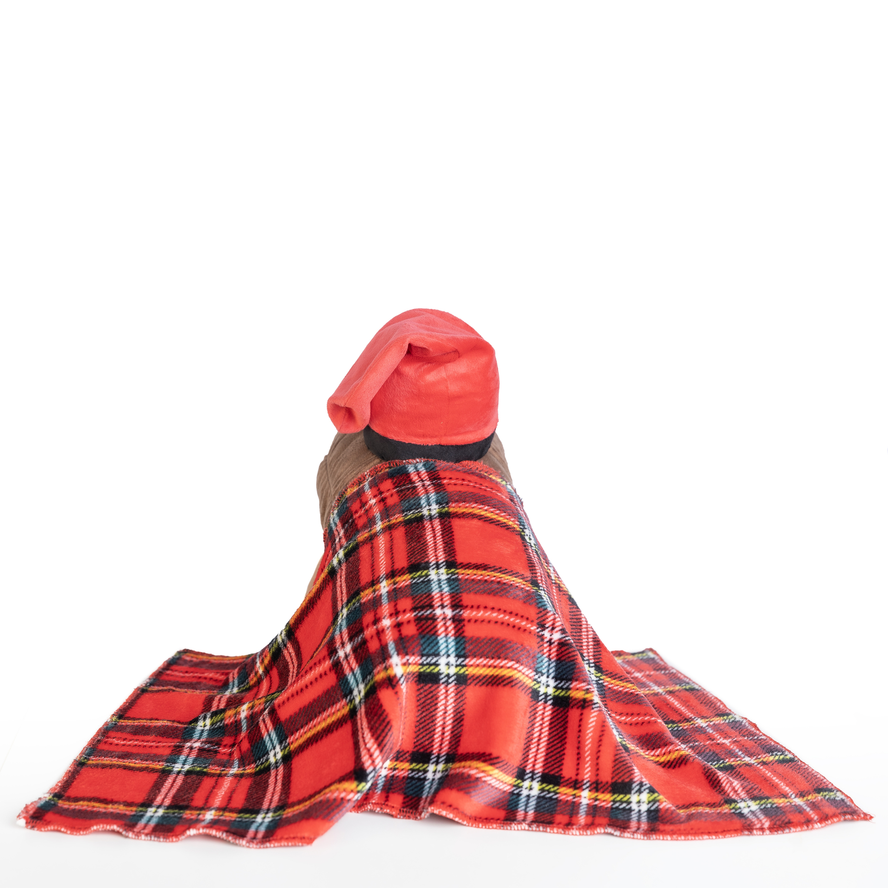 TIÓ T3- TRASERA PARA INCLUIR EN VISTA DE GALERIA